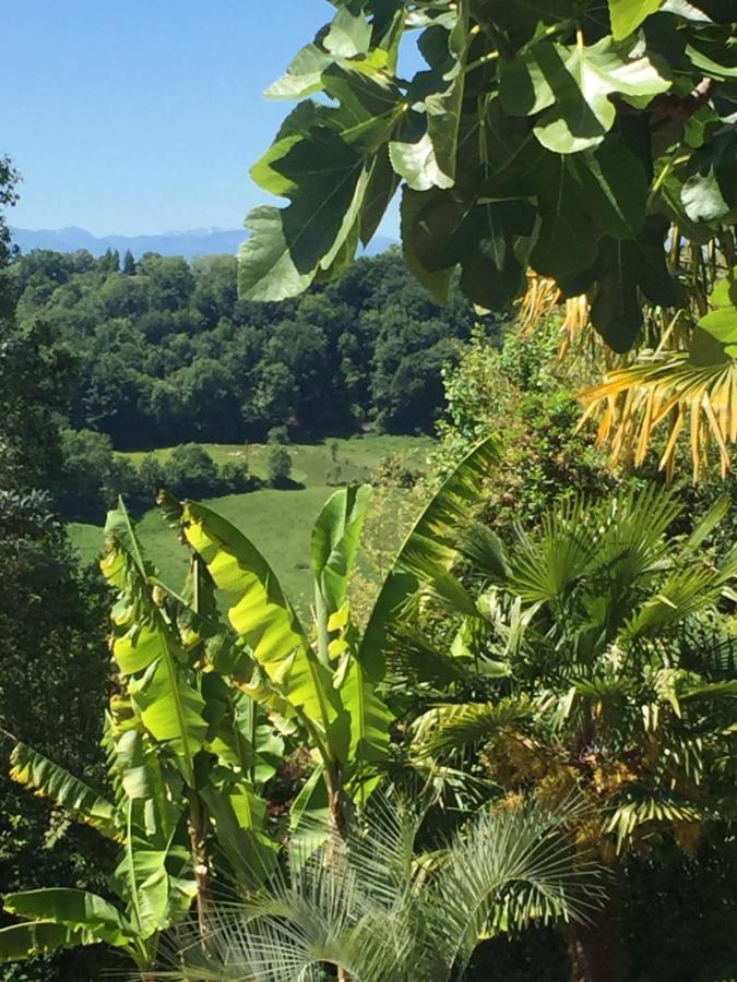 Chambres D'Hotes Coteaux Sud Jurançon Eksteriør billede
